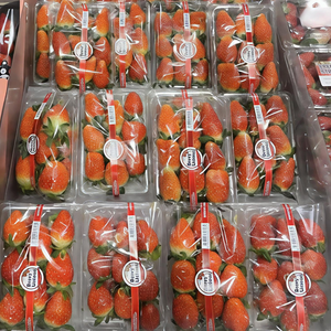 Film de scellage thermique transparent en PET pour barquettes jetables de viande, fruits, légumes, haricots - Product Image 3