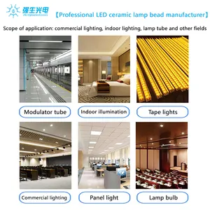 High Power SMD 3535 LED Excellent Quality Competitive Quotation For White Light LED Full Spectrum Available In 1W 2W 3W 5W