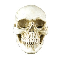 Modèle de sculpture de crâne squelette personnalisé, ornement d'halloween, décoration intérieure, tête de crâne humain en résine