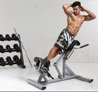 Chaise romaine d'hyperextension pour le bas du dos, équipement d'exercice professionnel avec capacité de charge de 300 kg, machine d'extension dorsale