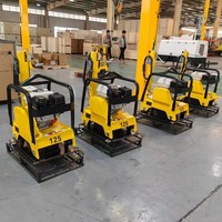 Compacteur à plaque vibrante Honda de 90 kg, 125 kg, 160 kg pour le sol et l'asphalte, haute efficacité