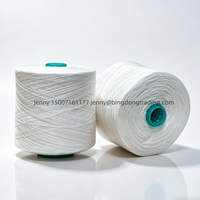 Fil à broder et à coudre en polyester 100% haute ténacité 40S/2, certifié OEKO-TEX, respectueux de l'environnement