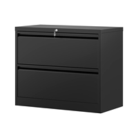 Armoire à dossiers latérale à 2 tiroirs, armoire à dossiers en acier avec serrure, armoire de rangement en métal pour le classement, montage requis, organisateur de bureau