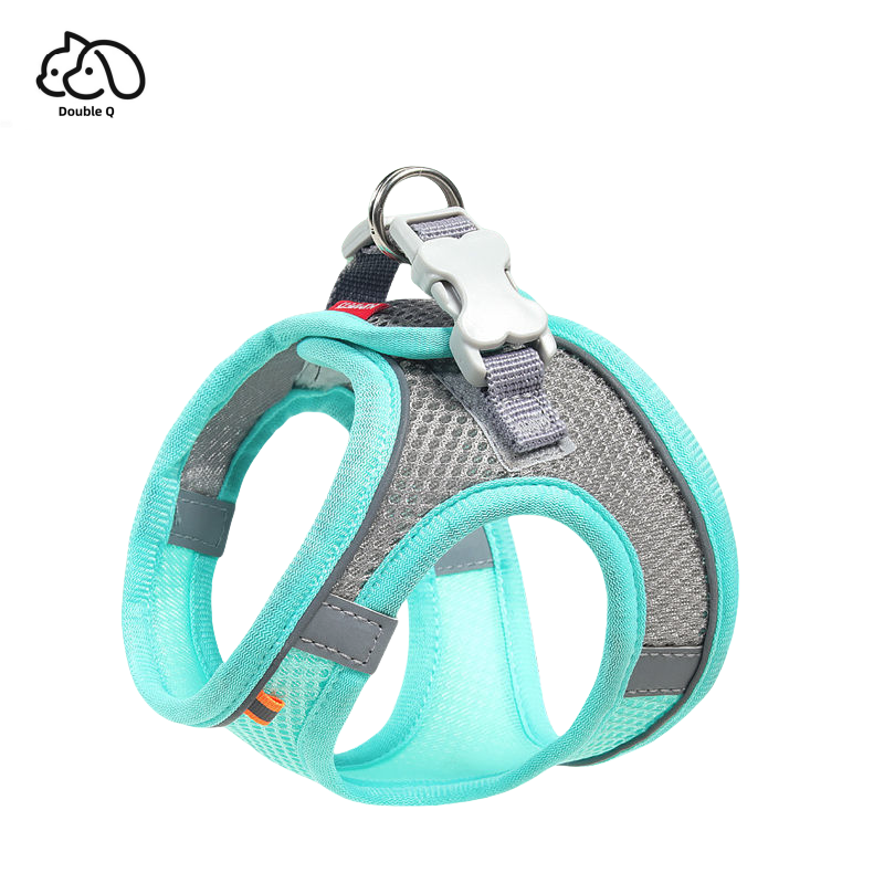 Verde menta (sin cuerda, solo pecho y espalda)