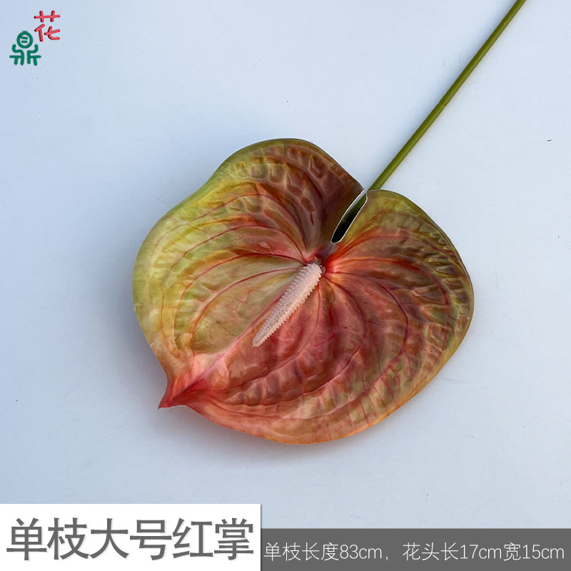 Single large red palm zl orange red