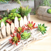 Décoration de plantes succulentes artificielles multifonctionnelles