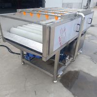 Machine de nettoyage multifonctionnelle à tambour parallèle pour légumes et canne à sucre - Machine de nettoyage à jet d'eau haute pression