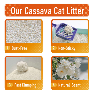 Fabrieksdirect verkoop Biologisch afbreekbare milieuvriendelijke Cassave kattenbakvulling Premium 99% stofvrij snelklonterend ongeparfumeerd zand - Product Image 2