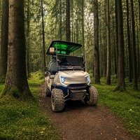 Voiturette de golf électrique pour l'Oktoberfest, 2, 4 ou 6 places, moteur AC 72V 7.5KW, batterie au lithium, pour le transport de fournitures vers les stands de bière et les seaux à piquets de tente