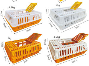 Cage à poulets en plastique jaune, nouvelle, grande, en plastique, pour le <span class=keywords><strong>transport</strong></span> <span class=keywords><strong>de</strong></span> volailles, <span class=keywords><strong>caisse</strong></span> <span class=keywords><strong>de</strong></span> <span class=keywords><strong>transport</strong></span> pour <span class=keywords><strong>canard</strong></span>, oie, lapin, boîte <span class=keywords><strong>de</strong></span> reproduction, matériel - Product Image 2