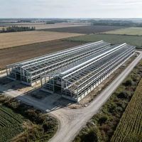 Nave Avícola Moderna con Estructura de Acero, Estructura de Acero Ligero para Granjas Avícolas
