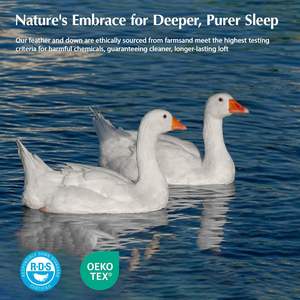 Piumino Delicato sulla Pelle con Imbottitura in Piuma d'Oca e Piumino, Cuciture a Doppia Piegatura, Leggero e Confortevole - Product Image 4