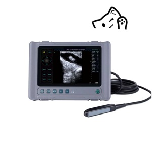 Ecógrafo Médico, Máquina de Ultrasonido <span class=keywords><strong>Doppler</strong></span> Color, Ecografía Portátil, Escáner Ultrasónico - Product Image 6