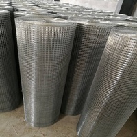 Maille de fil soudé galvanisé à chaud de 1/2 pouce x 4 pouces en gros pour cages à oiseaux et à poulets, certifiée ISO9001