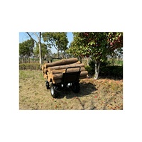 Elektrische DIY-Schubkarre für den Haushalt, 12V20Ah, Allradantrieb, Mini-Dumper-Lader mit Motor, lange Lebensdauer für Garten und Hof