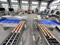 Industriële grote capaciteit eierweegschaal 5-niveau kippenboerderij eiersorteermachine in de aanbieding