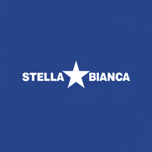HSS rotativo Cutter Art. 25 Fig.21 stella bianca 0250212 sferica per fresatrici per intaglio del legno scatola diametro gambo 3.175mm - Product Image 1