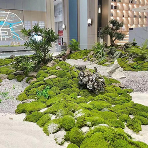 Musgo Artificial Dongguan Dream Castle, Verde, para Decoración de Interiores, Flores Preservadas, Plantas Decorativas - Product Image 1