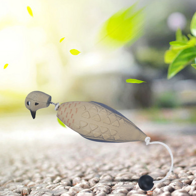 pajarito