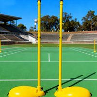 Poteau de filet de badminton portable extérieur avec équipement d'entraînement à roues pour utilisation sur le terrain