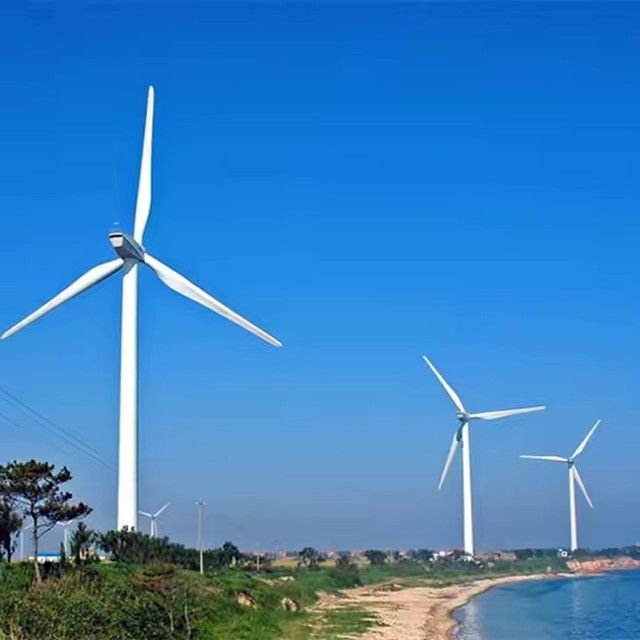 Wind Turbine 3KW Wind Electricity Generator for Home Use H Type Wind Energy System