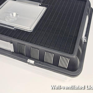 Caja de plástico transparente para Reptiles y animales pequeños, jaula de lagartija, Tarantula, casa de mascotas - Product Image 2