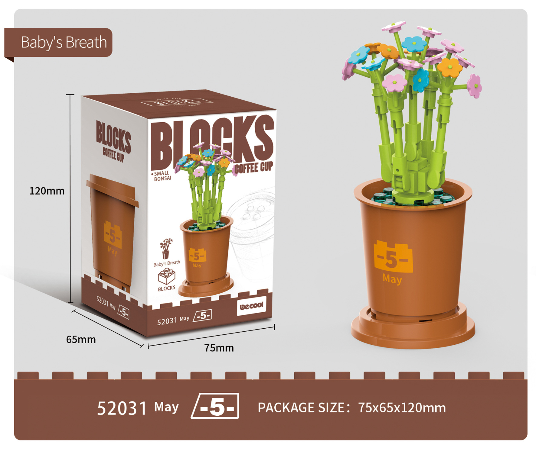 5- Dicu 52031-5 tazza di caffè piccola pianta