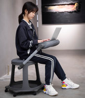 Chaise facile d'étudiant de loisirs multifonctionnelle de ventes directes d'usine avec la base de stockage