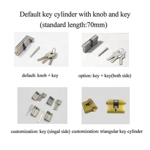 Serrure à pêne électrique sécurisée avec cylindre à clé pour système de contrôle d'accès à la porte de la maison et à l'ascenseur - Product Image 5
