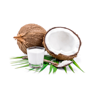 Dried <b>Coconut</b> From Vietnam Tropical & Sub-Tropical Fruit- Agriculture Product Cheap Price for Export Low MOQ Hot Selling Custom - Product Image 6