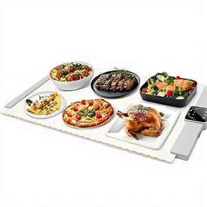 Hilim SCG Classic Electric <b>Silicone</b> Square Eco-Friendly Food Heating <b>Mat</b> 300mm Diameter 10mm Thick Flexible Tray Easy Storage - Product Image 4
