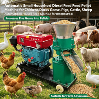 Machine à granulés d'aliments pour animaux de ferme commerciale, 200-500 kg/h, moulin à granulés pour volailles et bétail, pour entreprise familiale de transformation d'aliments