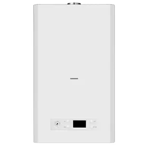 manufacturer gas boiler remote WIFI control wall hung gas heaters for winter home