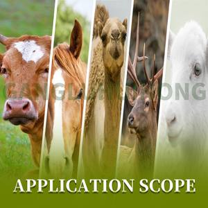 Oem להגדיל את גידול בעלי החיים לעלות במשקל תוספי תזונה גידול בקר בקר בקר בקר בקר בקר בקר - Product Image 5