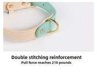 Collier pour chien en cuir uni personnalisé - Collier pour animal de compagnie durable, réglable, tactique, imperméable, style Instagram, toutes saisons