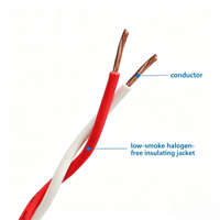 Fil flexible WDZN-RVS-2*0.75/1.0 mm à faible émission de fumée et sans halogène pour l'ingénierie des circuits d'urgence résistants au froid et à la chaleur