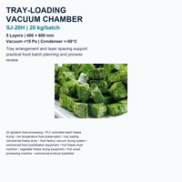 Machine de lyophilisation de fruits tropicaux SJ-20H, capacité de 20 kg par lot, pour le traitement du jackfruit, de la mangue, de l'ananas et des ingrédients fruitiers