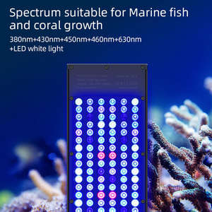 Lámpara LED regulable Week <span class=keywords><strong>Aqua</strong></span> para acuarios de arrecife de coral, iluminación para acuarios de agua salada - Product Image 2