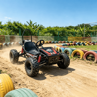 Kart de loisirs tout-terrain professionnel à direction assistée, moteur 212CC quatre temps, pneus de 8 pouces, pour adultes, idéal pour la plage et le drift