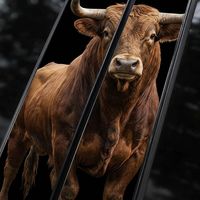 Pegatinas para el pilar B del coche con diseño de toro musculoso, calcomanías realistas de animales para el marco de la ventana, 1 año de garantía, impermeables, de PVC brillante, para decoración exterior de automóviles.