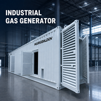 Nouvelle Offre 2026 : Groupe Électrogène Biogaz Conteneurisé 800kW 1000kVA pour Projets de Valorisation Énergétique des Déchets