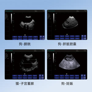 Échographe portable Pu Vdl152a pour animaux de compagnie et animaux, équipement de diagnostic vétérinaire certifié CE - Product Image 3