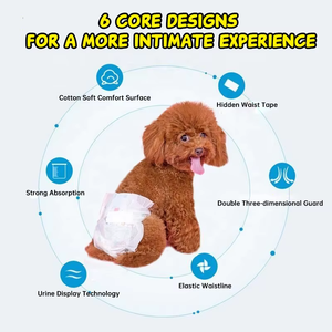 10 pièces couches jetables pour animaux de compagnie Super absorbant étanche chiot <span class=keywords><strong>chien</strong></span> coussinets de formation pour la formation de la maison et la Protection contre l'<span class=keywords><strong>incontinence</strong></span> - Product Image 4