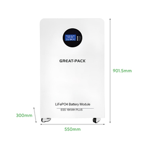 Système de stockage d'énergie solaire domestique sur pied avec batterie lithium-ion 16 kWh 51,2 V 314 Ah - Product Image 3