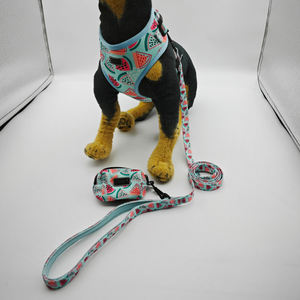 Set <span class=keywords><strong>Harness</strong></span> anjing multifungsi, 6 dalam 1, desain tugas berat tanpa tarik untuk keturunan besar, tali kerah hewan peliharaan mewah dapat disesuaikan OEM - Product Image 2