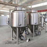Cuve de Fermentation Conique Personnalisable 150L avec Enveloppe à Cavités, Équipement de Fermentation, Manhole à Bride et Couche d'Isolation