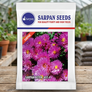 Graines d'aster hybride SARPAN AST-4 10g Rose Collection de fleurs d'aster hybrides variées - Product Image 3