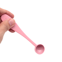 Peinture en spray rose bambou, logo personnalisé, cuillères doseuses pour outils à matcha et ensemble fouet à matcha Chasen