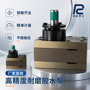 Ruicheng Gear Pump JRGJSB 5cc High Viscosity Polyurethane <b>Glue</b> Pump Horizontal Shaft Skd11 <b>Material</b> - Product Image 5