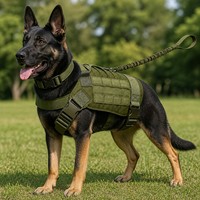 Taktik Hizmet Köpeği Göğüs Tasması Seti MOLLE Yelek Tasması Bungee Kayış Çekişsiz Ağır Hizmet Tipi Naylon Alman Çoban Köpeği Büyük Köpekler için
